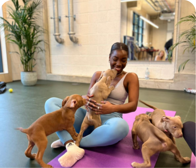 Puppy Yoga